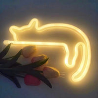 A cat warm