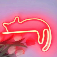 A cat red